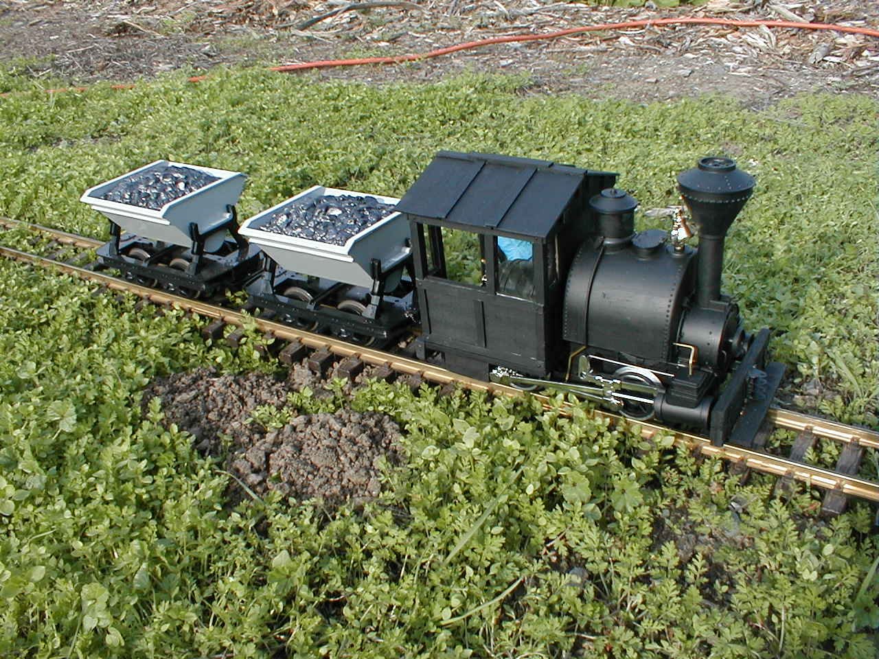 g gauge trains